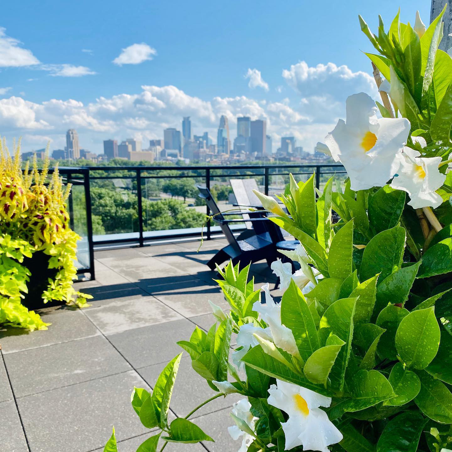 The Fred Apartments Edina